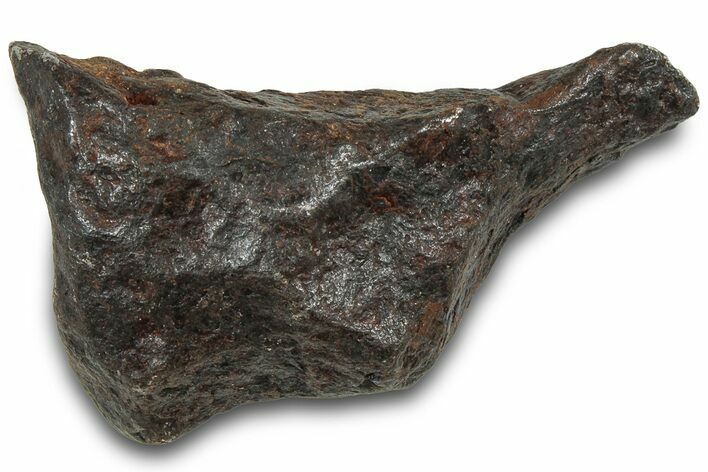 Canyon Diablo Iron Meteorite ( g) - Arizona #319610